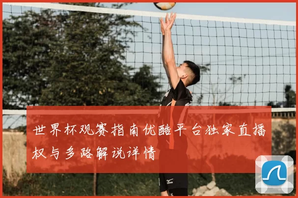 世界杯观赛指南优酷平台独家直播权与多路解说详情