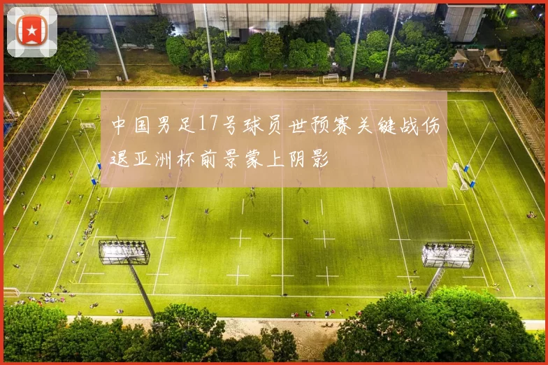中国男足17号球员世预赛关键战伤退亚洲杯前景蒙上阴影