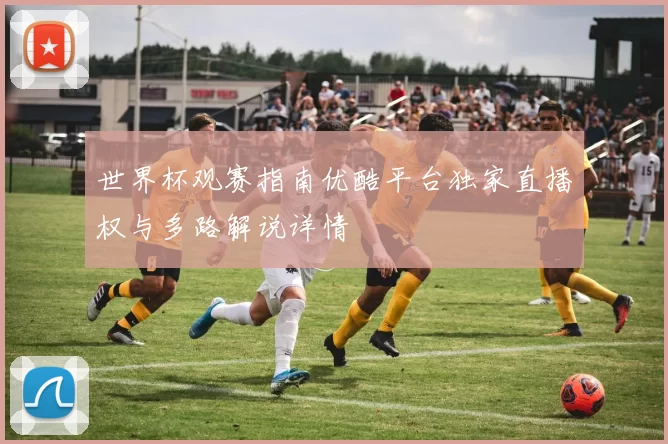 世界杯观赛指南优酷平台独家直播权与多路解说详情