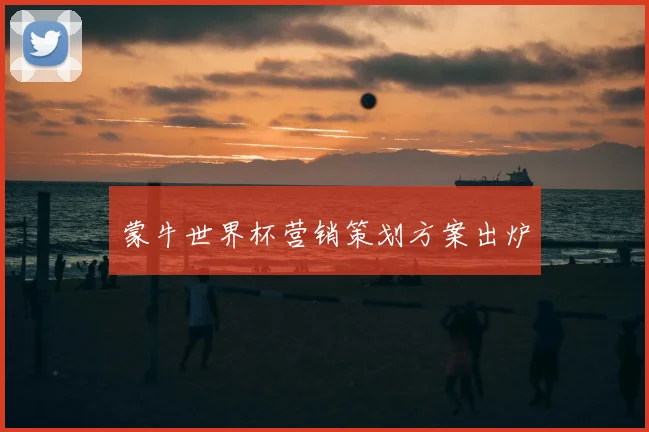 蒙牛世界杯营销策划方案出炉