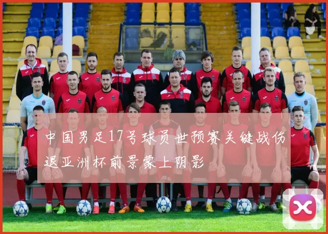 中国男足17号球员世预赛关键战伤退亚洲杯前景蒙上阴影