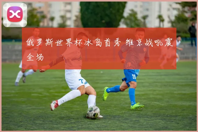俄罗斯世界杯冰岛首秀 维京战吼震全场