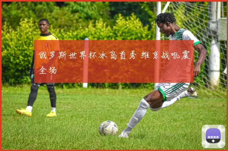 俄罗斯世界杯冰岛首秀 维京战吼震全场