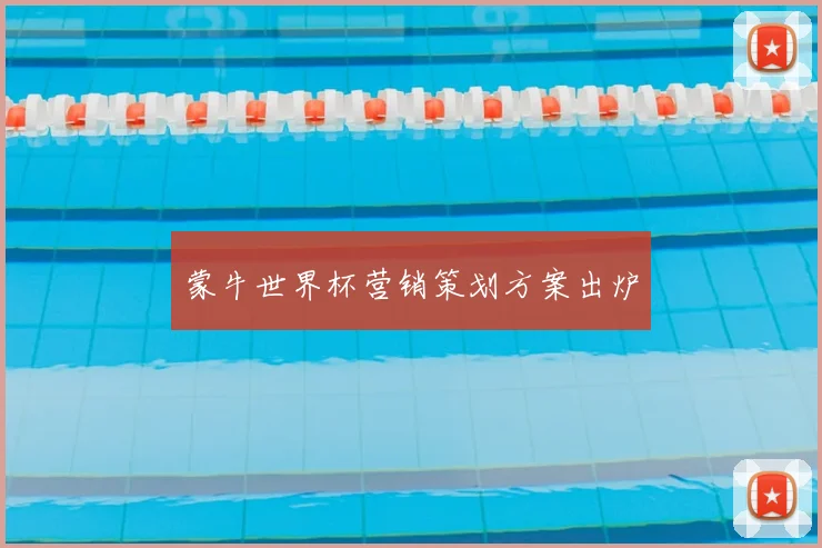 蒙牛世界杯营销策划方案出炉