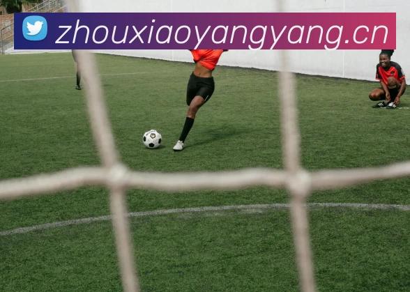 爱游戏手机版官方网站 - 爱游戏(中国)服务体系